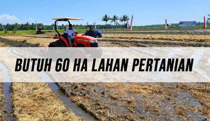 Butuh 60 Ha Lahan Pertanian