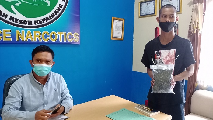 Jadi Kurir Ganja Lintas Provinsi Pemuda BI Diringkus Polisi