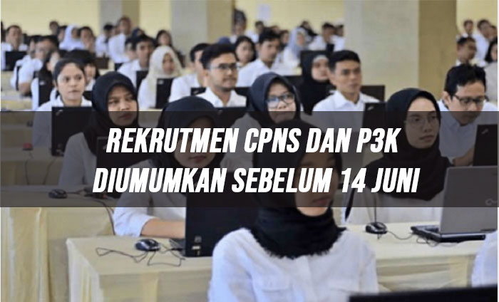 Rekrutmen CPNS dan P3K Diumumkan Sebelum 14 Juni