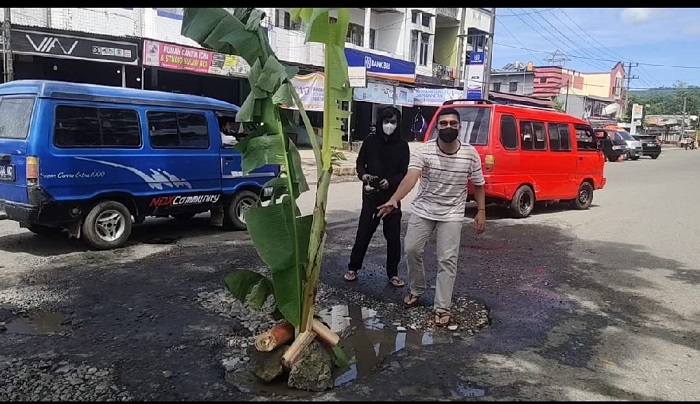 Protes Jalan Rusak dan Berlubang, Mahasiswa Lepas Lele dan Tanam Pisang