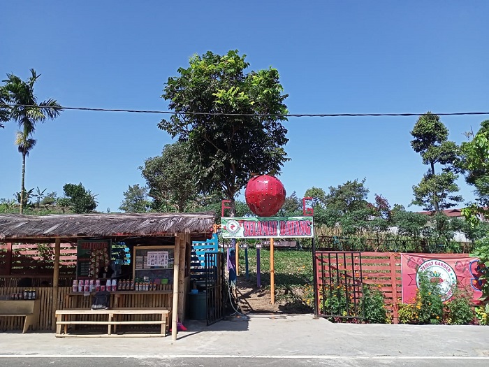 Family Garden, Wisata Kebun Strawberry Baru di RL