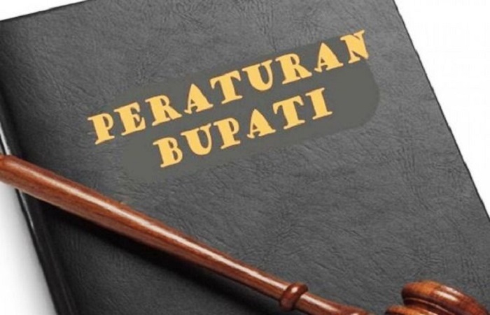 Usulkan Revisi Perbup Kode Etik ASN