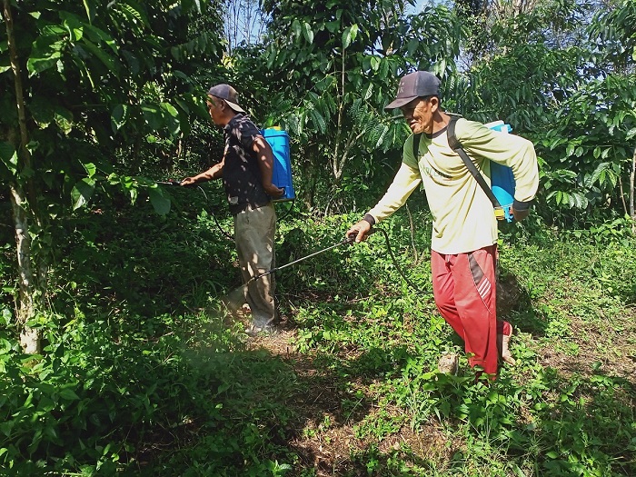 Petani Keluhkan Harga Kopi