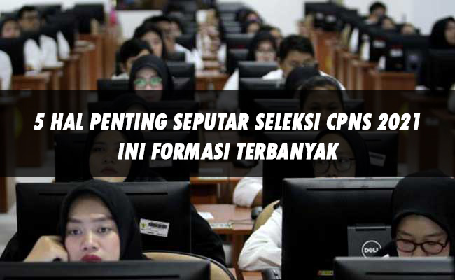 5 Hal Penting Seputar Seleksi CPNS 2021, Ini Formasi Terbanyak