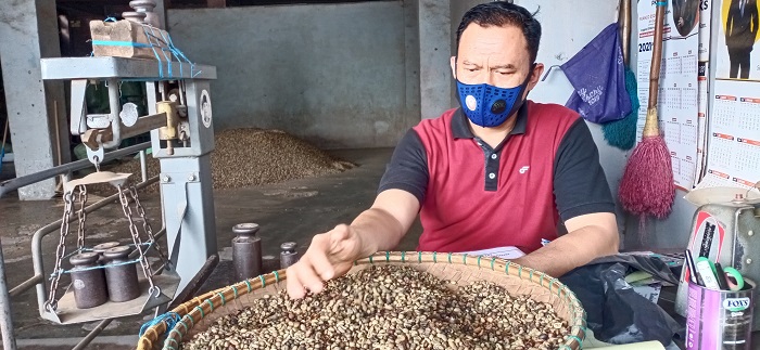 Harga Kopi Mulai Terasa Manis