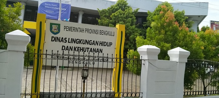 Penebangan Pohon Diperbolehkan Jika Membahayakan