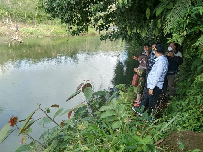 200 Ribu Benih Ikan Siap Dilepas, Bantuan BBTSA Jambi