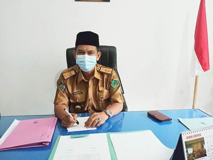 Soal Hama Serang Tanaman, Disperkan Bakal Turunkan Tim