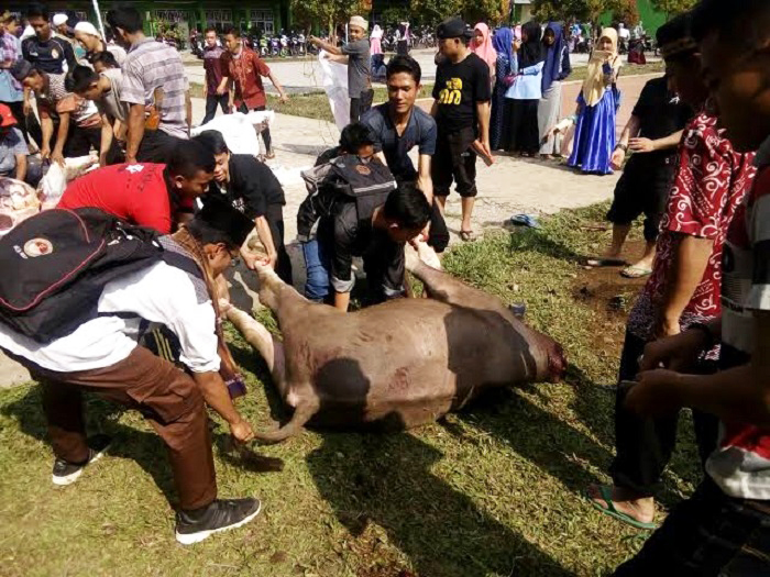 Satgas Diminta Awasi Potensi Kerumunan, Jelang Pemotongan Hewan Kurban