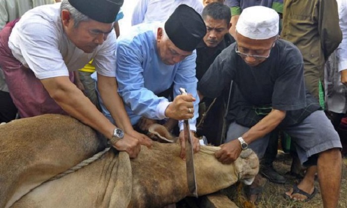 Pemotongan Hewan Kurban Masih Berlanjut Hari Ini, Kemenag Minta Patuhi Prokes