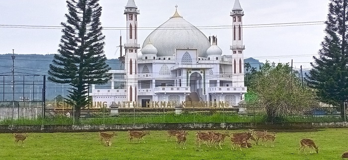 Pemkab Perbolehkan Masjid Laksanakan Salat Id, Sapta : Prokes Wajib untuk Diterapkan