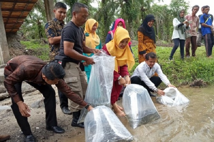 Terkendala Penerapan PPKM, Restocking Ditunda