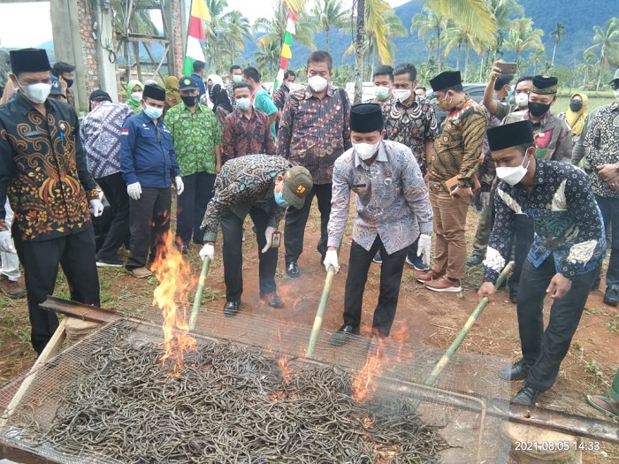 Program Basmi Tikus Sudah Telan Anggaran Rp 250 Juta