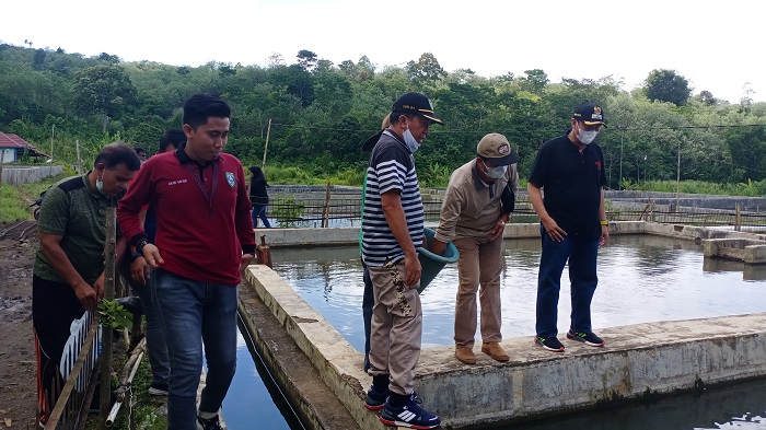 Kamis, 150 Ribu Ekor Benih Ikan Jelawat Dilepas