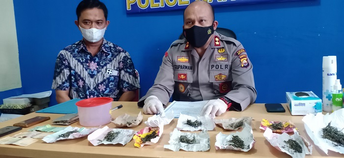 Ssstt !! Ada ASN Jadi Konsumen Ganja, Pengakuan Bandar AR