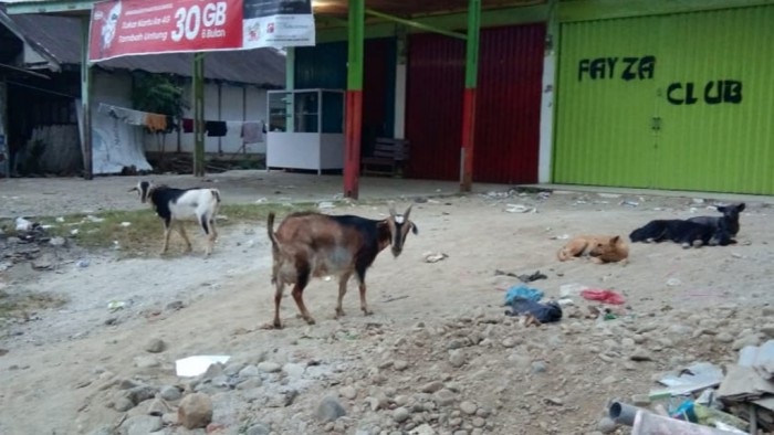 Satpol PP Sasar Hewan Kaki 4 Berkeliaran