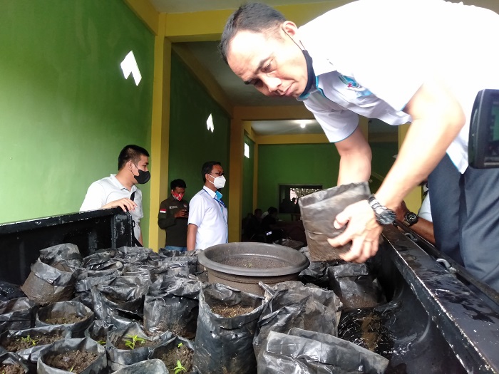 Tanam Ratusan Batang Ganja dalam Polybag, Mantan Anggota Polri Ditangkap