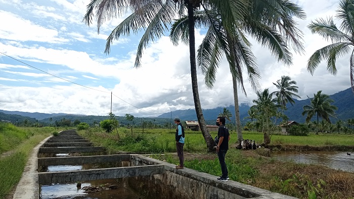 Tingkatkan Produksi Padi, Pemkab Siapkan Anggaran Rp 40 Miliar