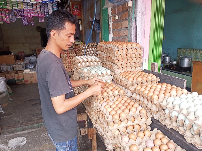 Harga Telur Ayam Turun