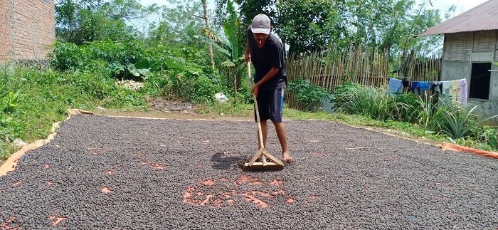 Asyik !! Harga Kopi Naik Lagi