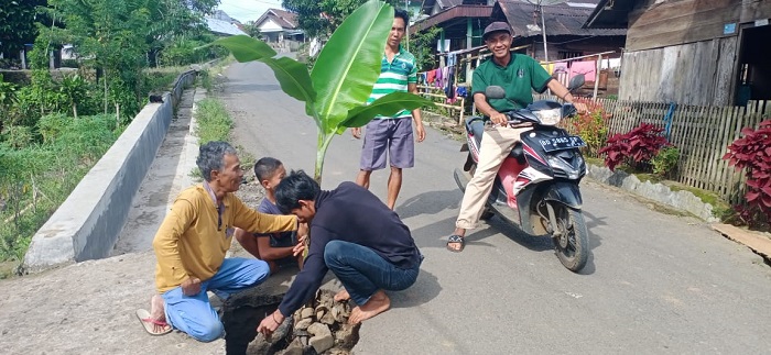 Protes, Warga Tanam Pisang Dijalan Berlubang