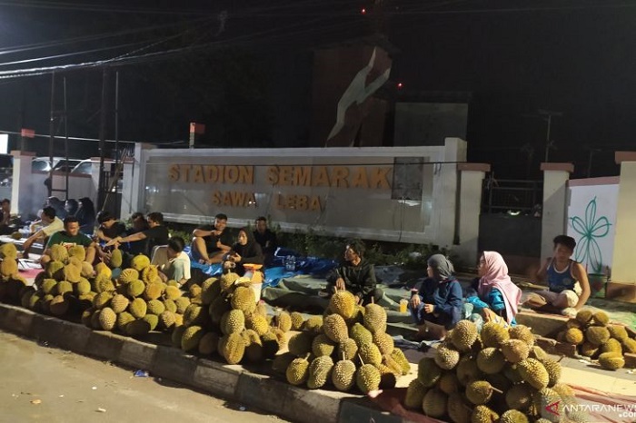 Ruas Jalan Kota Bengkulu Jadi Wisata Durian