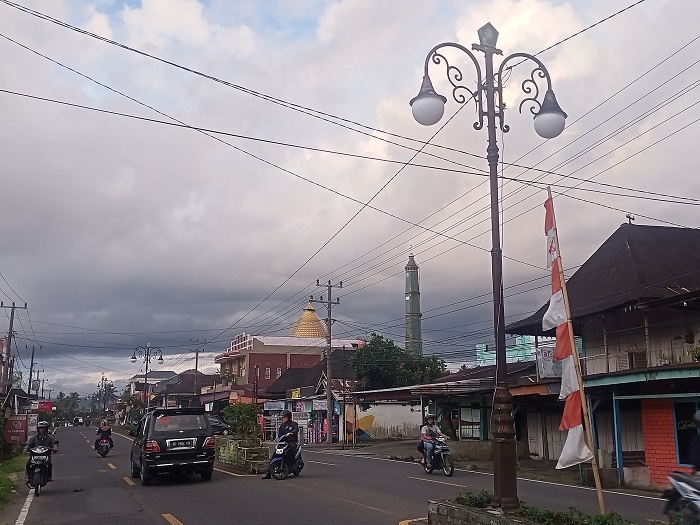 Pemkab RL Pasang 28 Unit LPJU, CSR dari Bank Bengkulu