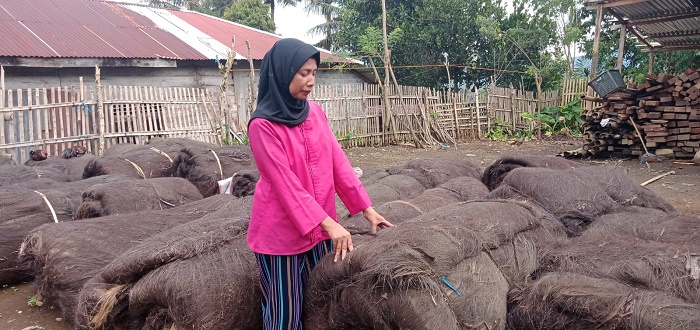 Ijuk Rejang Lebong Eskpor Hingga ke Bali