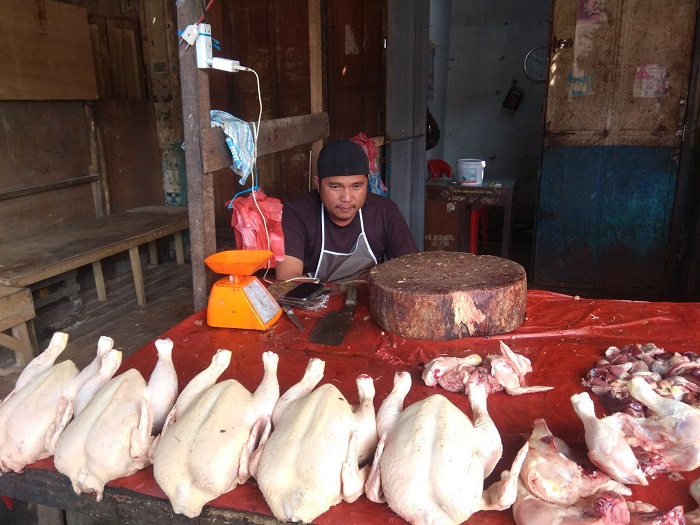 Harga Daging Ayam Potong Kembali Normal