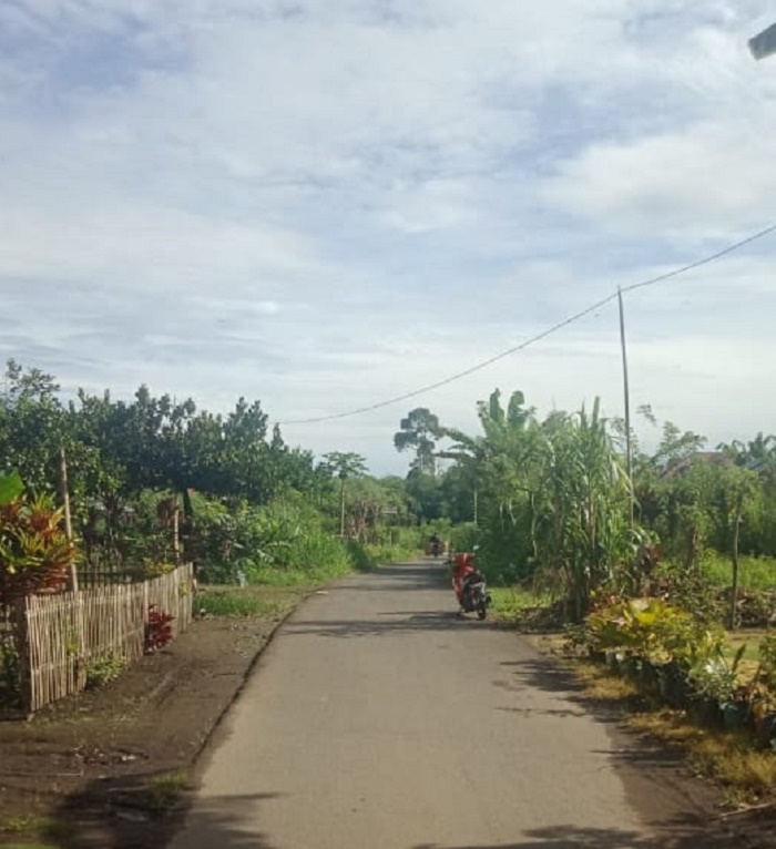 Tiang Listrik Hanya Dari Bambu