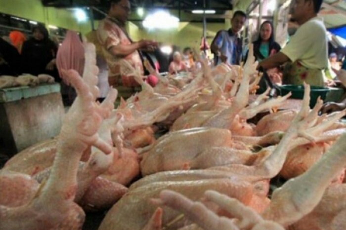 Jelang Puasa, Harga Daging Ayam Kembali Melambung