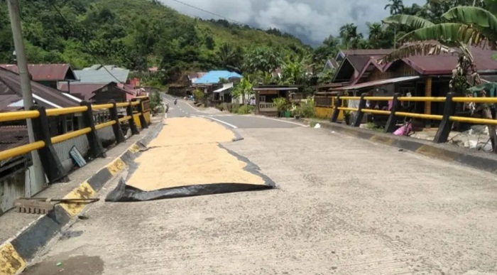 Warga Diimbau Tak Jemur Padi di Jalan