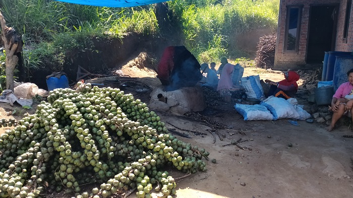 Selain Untuk Konsumsi “Beluluk” Juga Sebagai Bahan Kosmetik