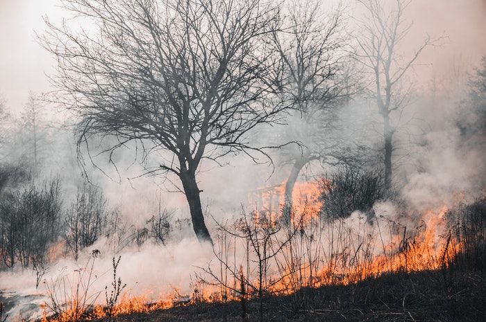 Musim Kemarau, Waspada Kebakaran