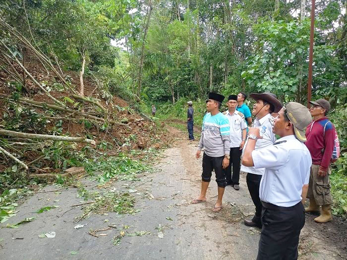 Cuaca Ekstreme, Waspada Pohon Tumbang