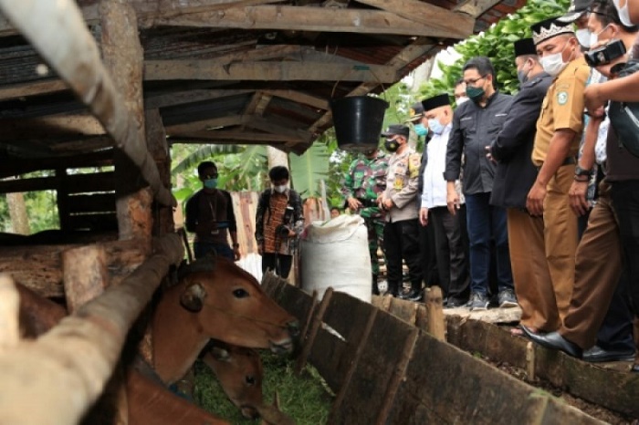 635 Hewan Qurban Disiapkan, Sambut Hari Raya Qurban