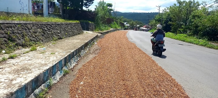 Satpol PP Tindak Penjemur Kopi di Badan Jalan