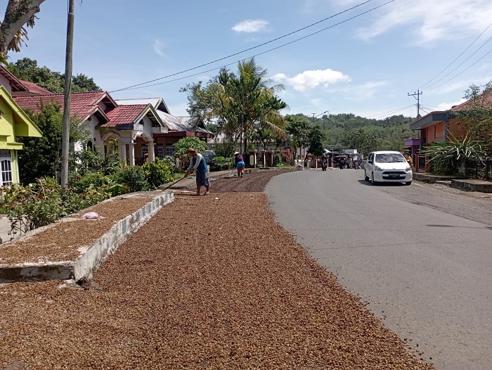 Meski Paham Aturan, Petani Tetap Jemur Kopi di Badan Jalan