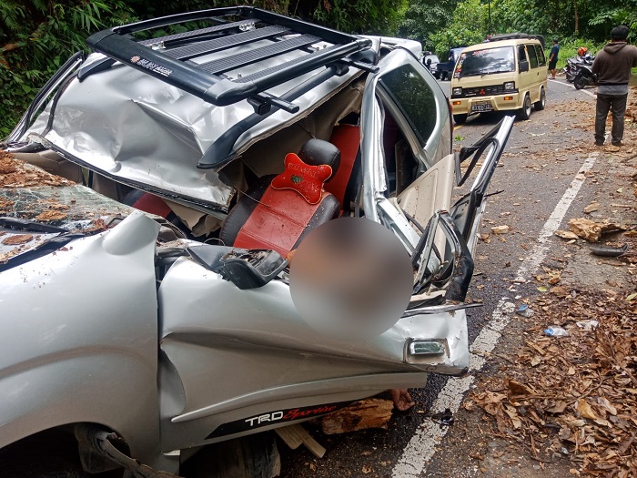 Pasca 3 Nyawa Melayang di Jalan Lintas Kepahiang-Benteng, BJN Pastikan Pangkas Seluruh Pohon Rawan Tumbang