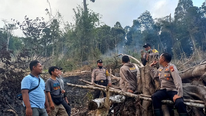 Api Lalap Lahan TNKS, Diduga Sengaja Dibakar Perambah