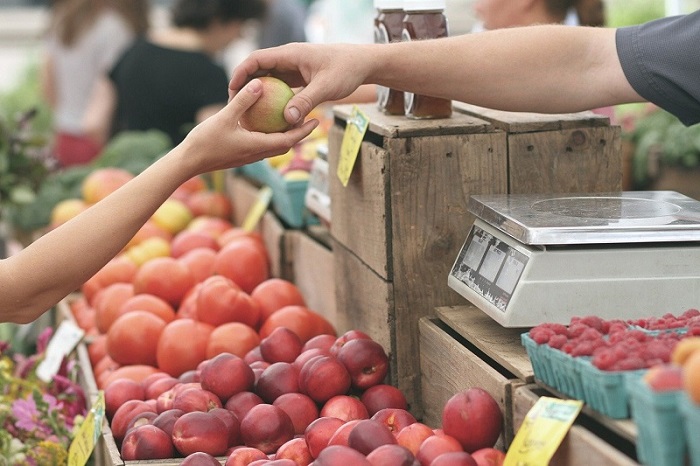 Memilih Supplier Bahan Baku Terbaik untuk Bisnis Kuliner