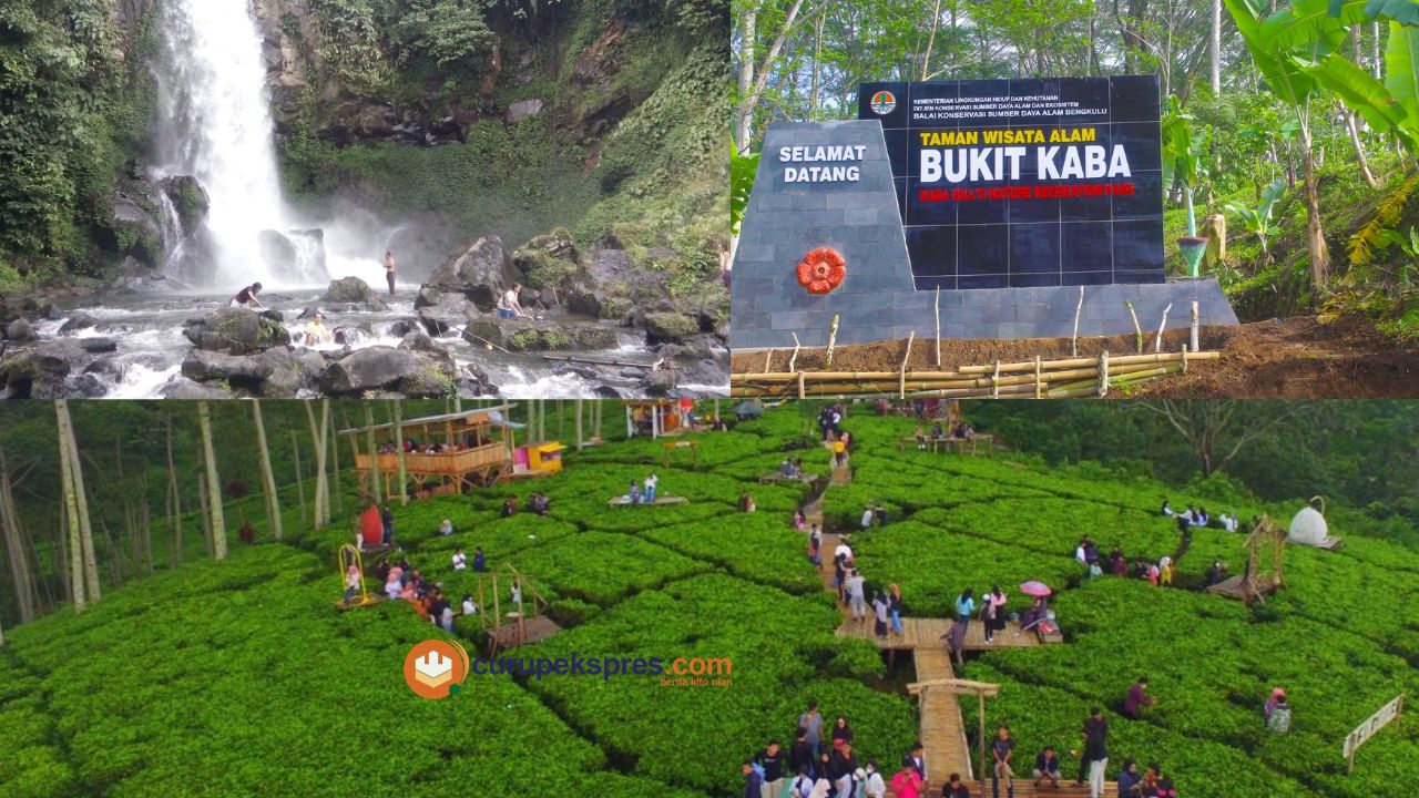 Rekomendasi 3 Wisata Alam yang Ada Di Kepahiang yang wajib Kamu Kunjungi