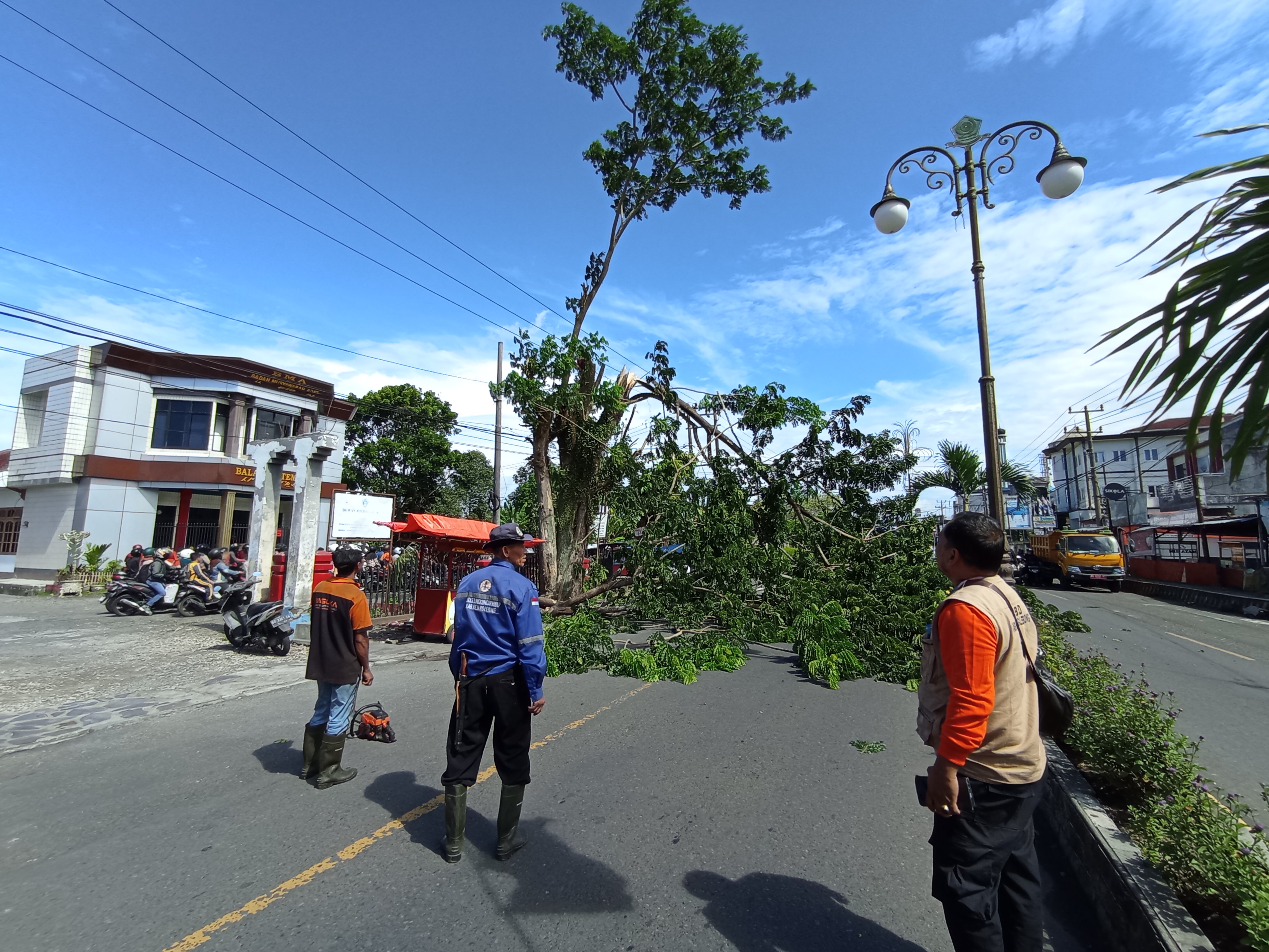 Tempo Sepekan, Belasan Lokasi di RL Terdampak Badai, Pohon Tumbang, Tiang Roboh, Atap Melayang