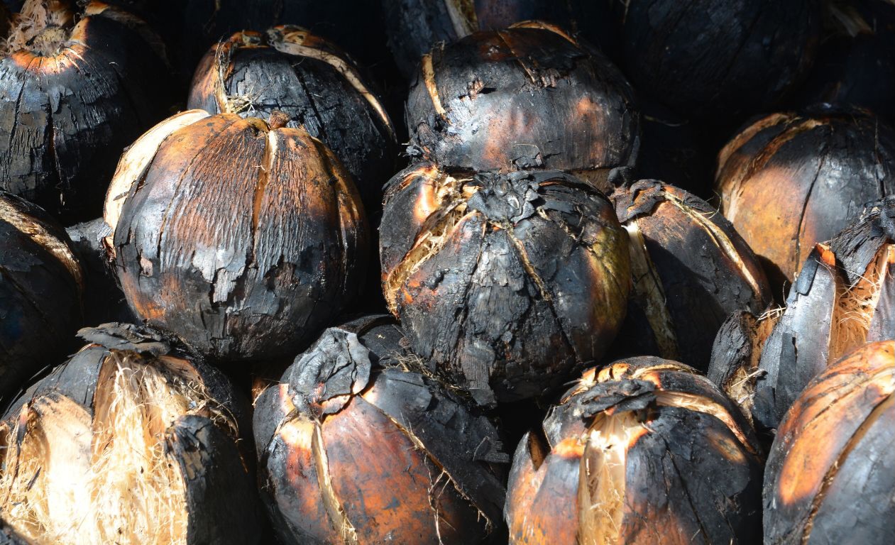 6 Manfaat Air Kelapa Bakar yang Jarang Diketahui, Baik untuk Ginjal hingga Jantung