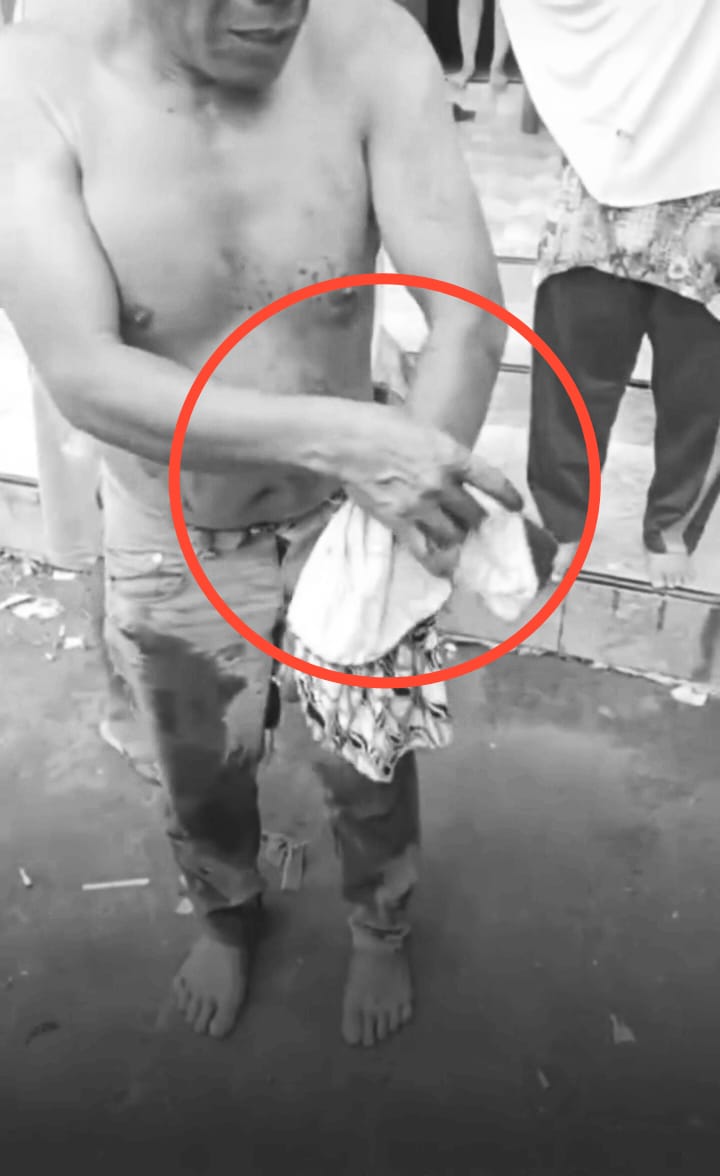  Asik Panen Padi, Warga Dusun Sawah Babak Belur Diseruduk Babi Liar