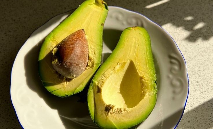 Daftar Buah Penuh Vitamin yang Ampuh Tingkatkan Imunitas Saat Sakit