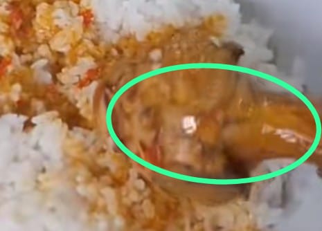 Pesan Ayam Yang Datang Lengkuas, Postingan Pria Ini Viral Begini Video Momen Lucunya