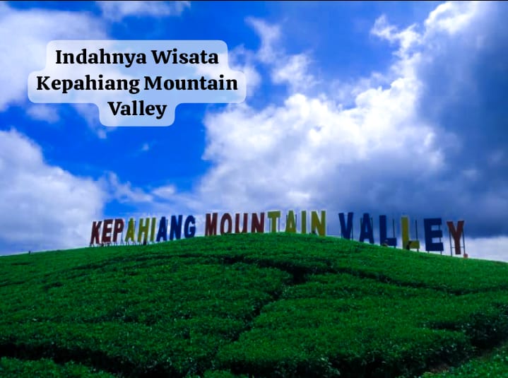 Indahnya Wisata Kepahiang Mountain Valley Eksplorasi Kebun  Teh yang Memukau