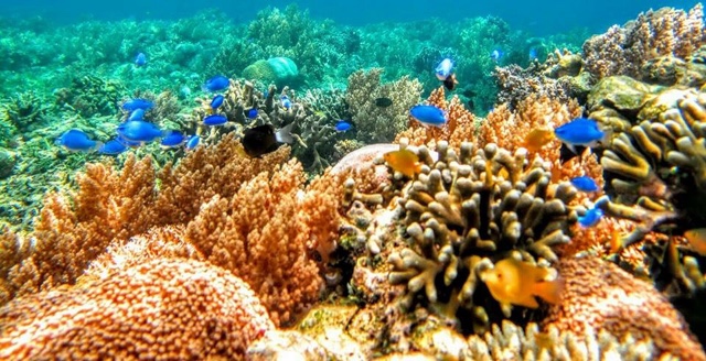 Gili Lawang Pesona Tersembunyi di Lombok Timur