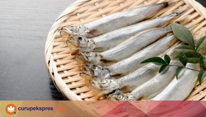 Resep Ikan Shisamo ikan Dengan Perut Full Telur Kesukaan Cipung.